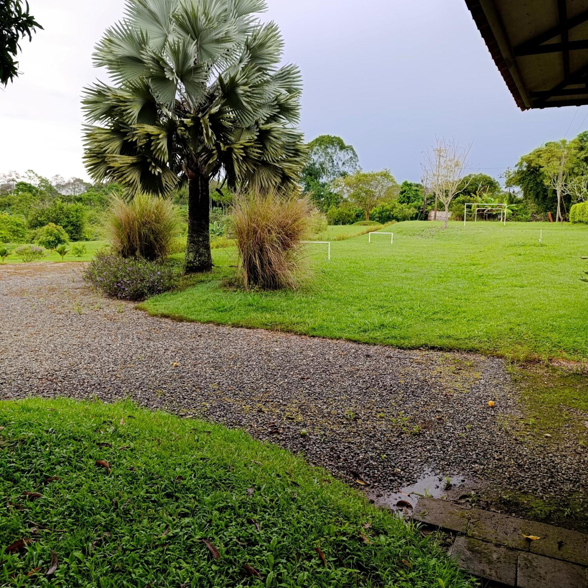 Hotel Campestre Los Mangos Quimbaya Exterior photo
